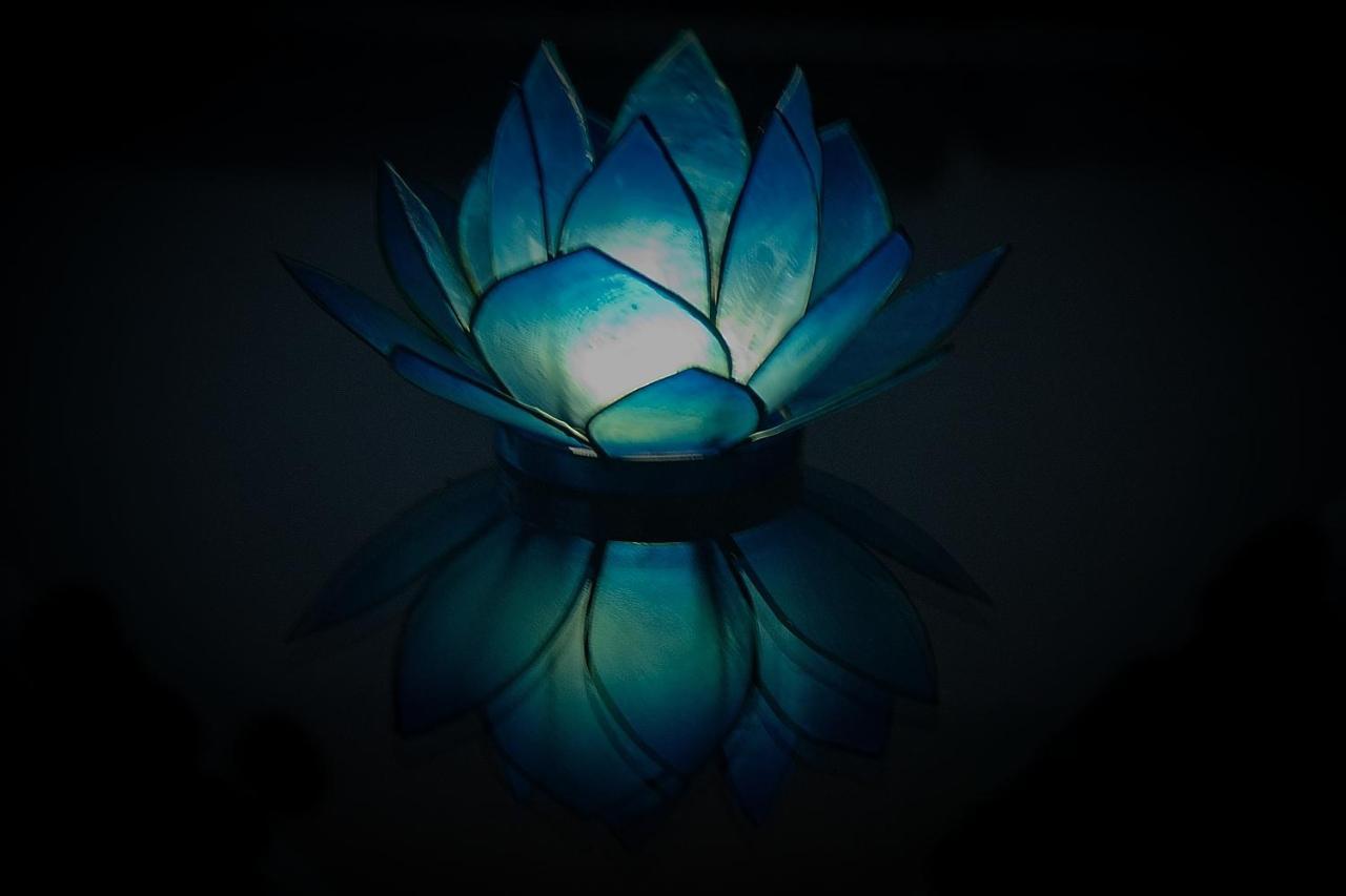 Blue Lotus Apartment *